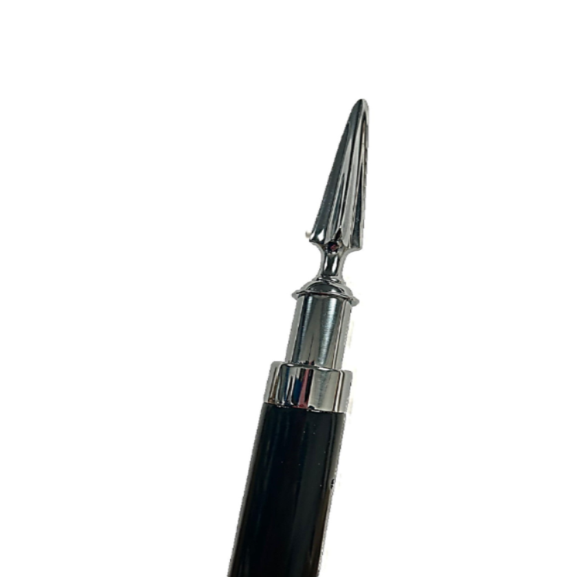 Black and Chrome Flagpole