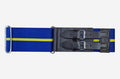 Royal Horse Artillery