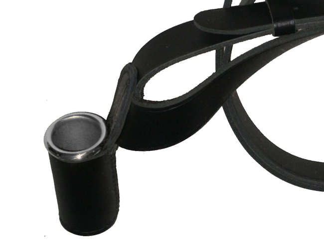 Flagpole Holster/carrier